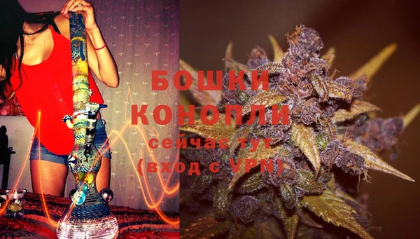 PSILOCYBIN Ивангород