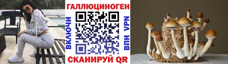 omg зеркало  купить  сайты  Кораблино  Псилоцибиновые грибы MAGIC MUSHROOMS 