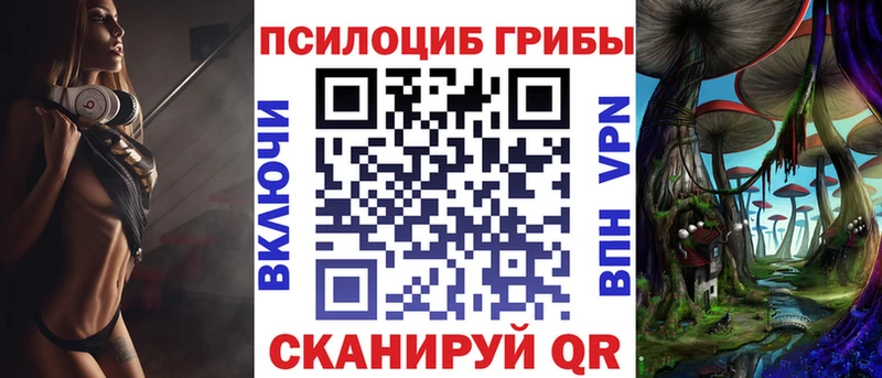Псилоцибиновые грибы Psilocybe Кораблино