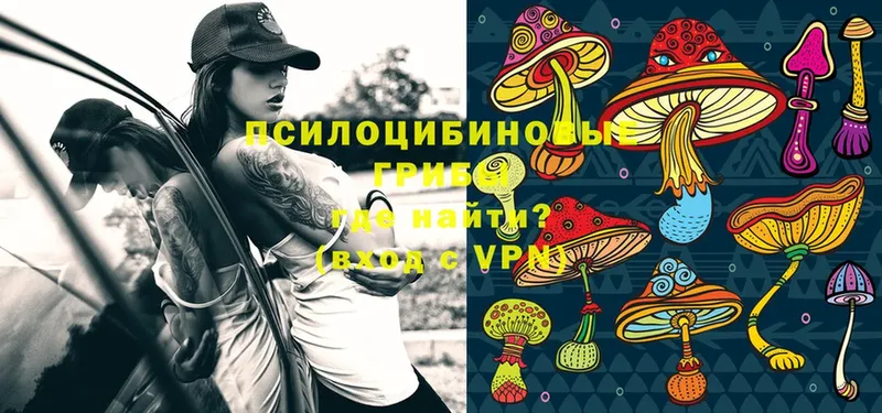 Галлюциногенные грибы Psilocybe  Кораблино 